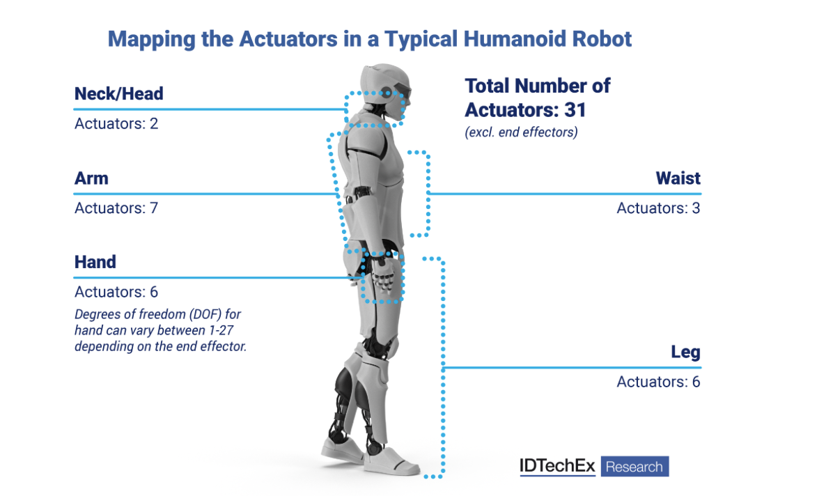 Trends and Outlook for Actuators: The Muscles Behind Humanoid Motion